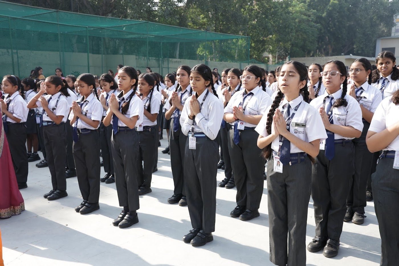 Primary Wing VJPS